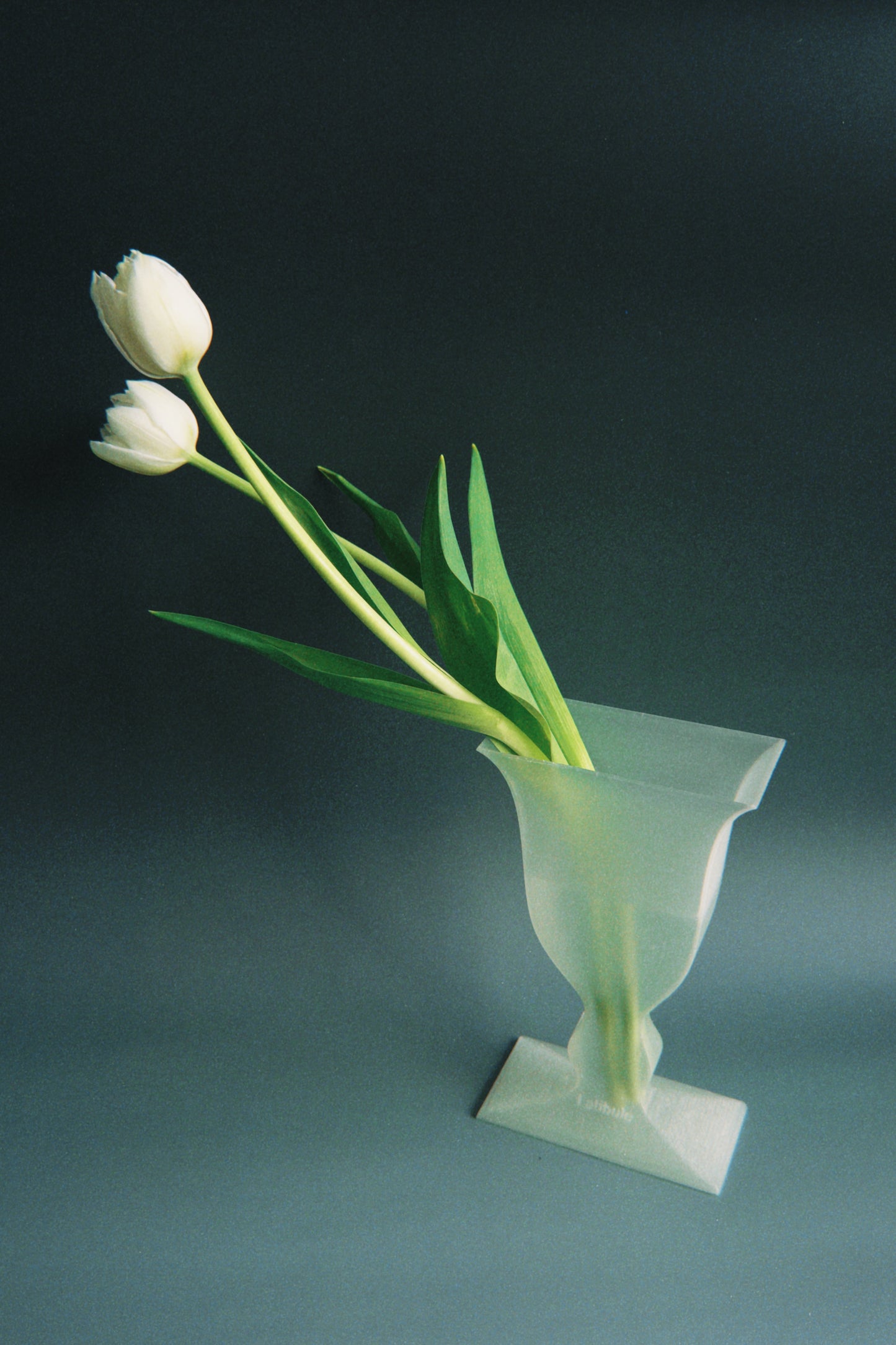Lyra Vase