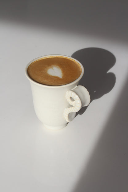 Volute